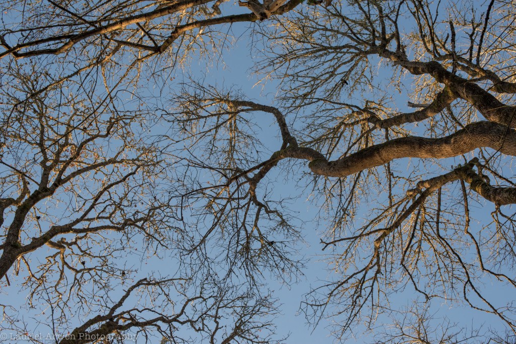 State Testing: A&nbsp;Poem