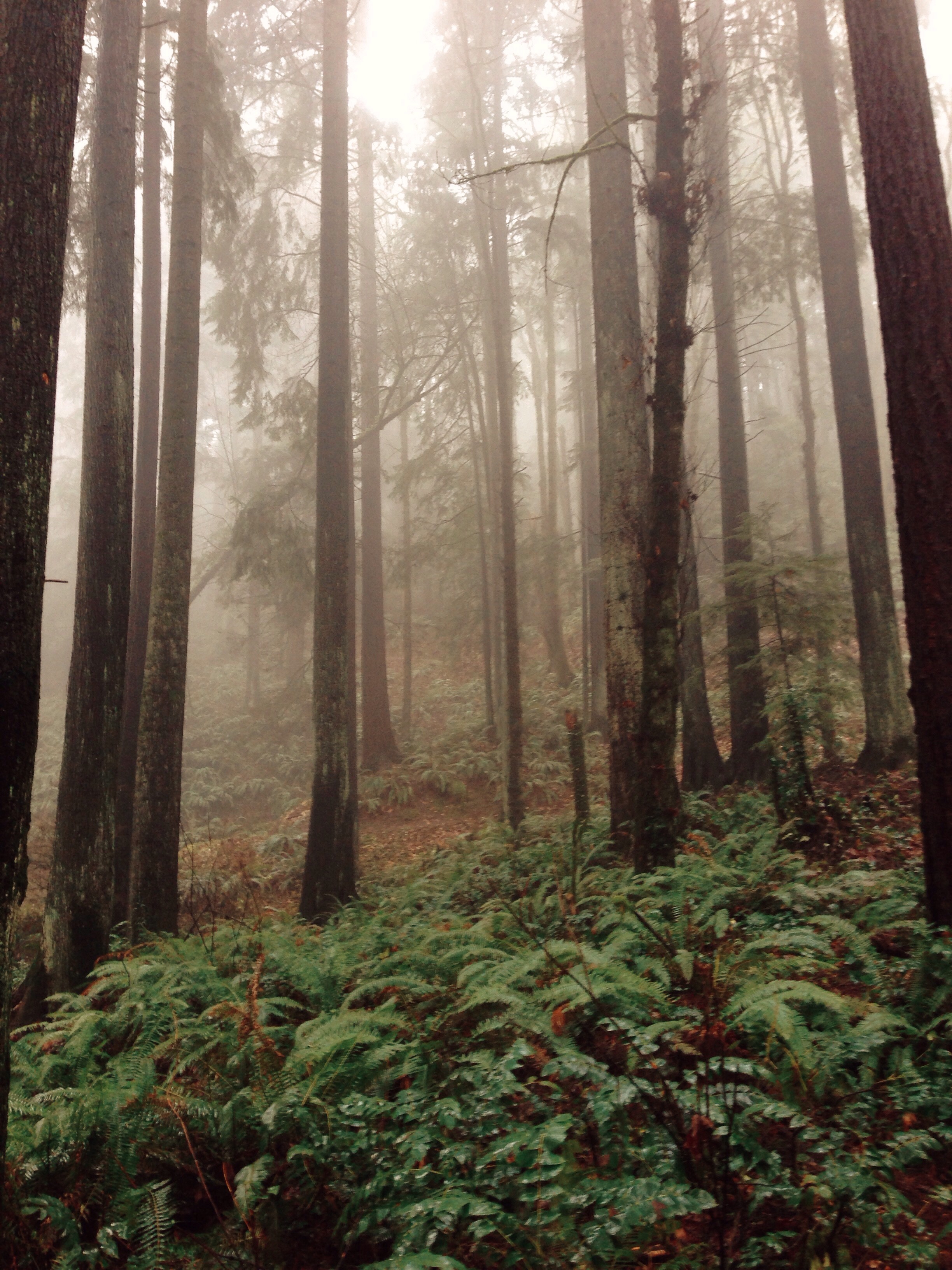 Processed with VSCOcam with kk1 preset