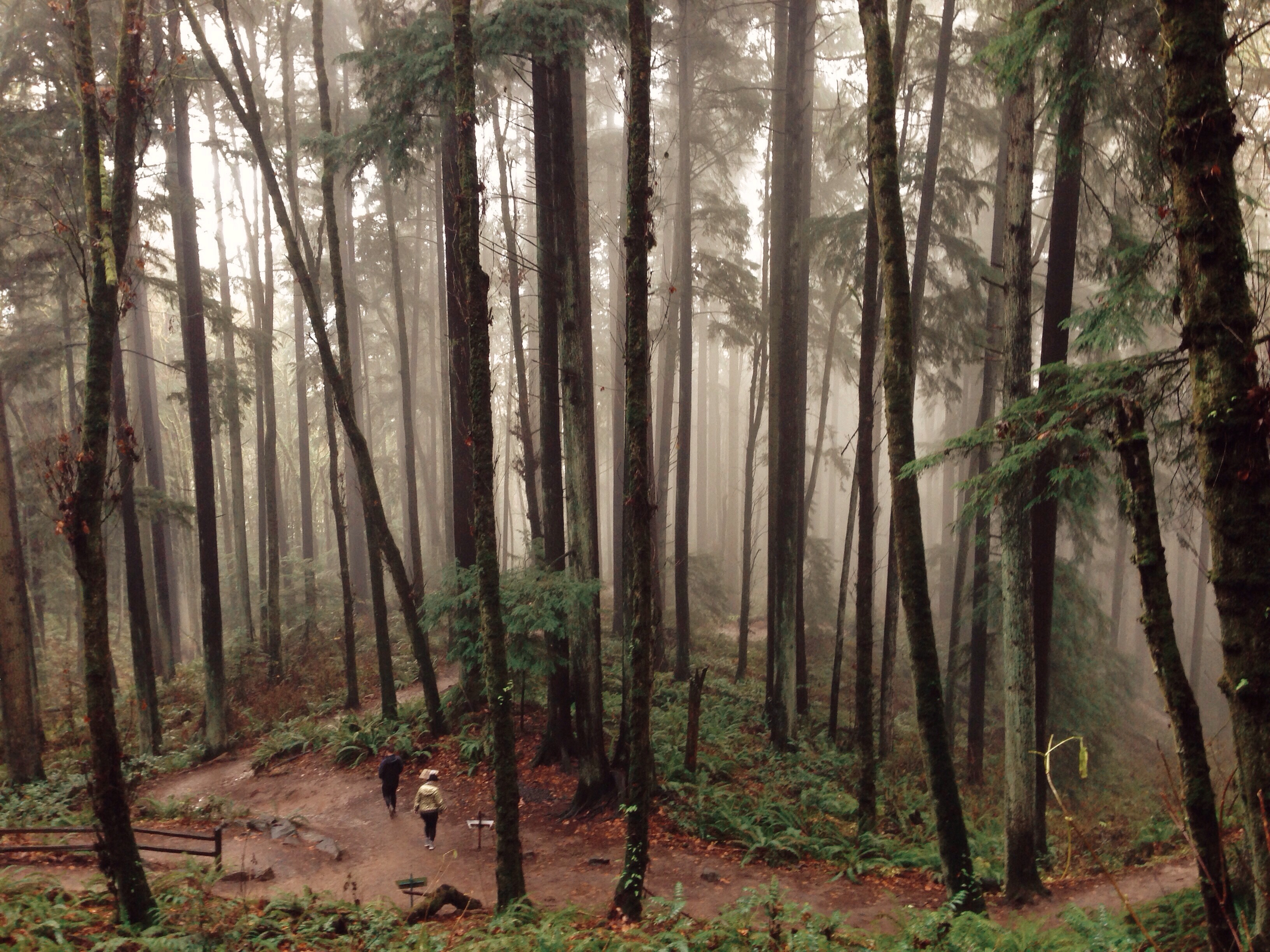 Processed with VSCOcam with kk1 preset