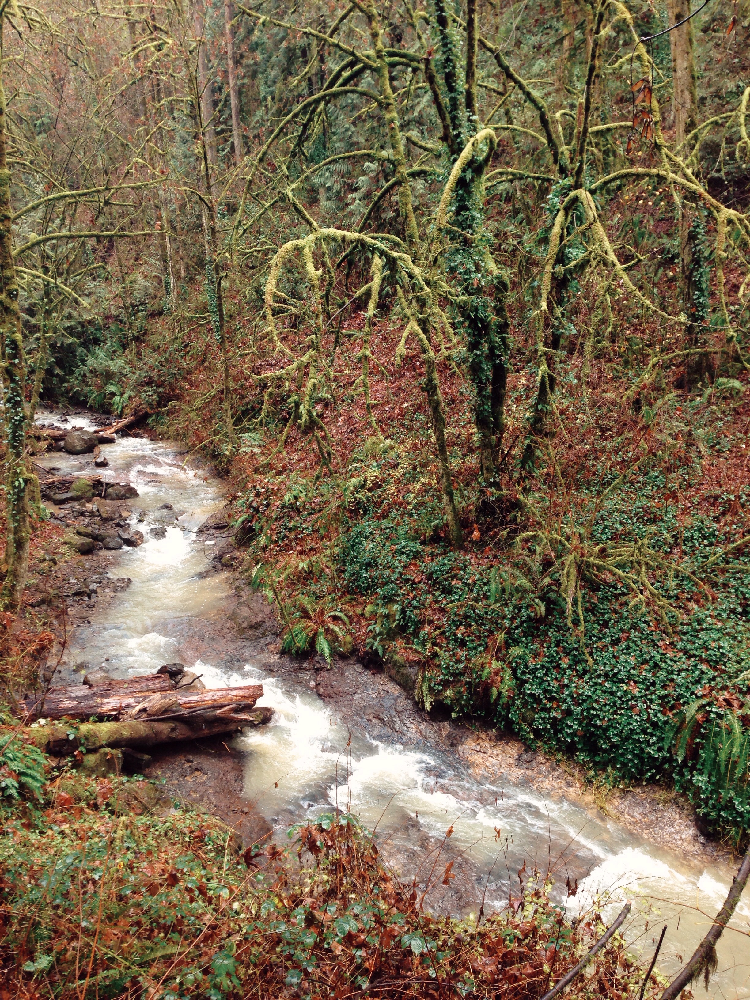 Processed with VSCOcam with kk1 preset