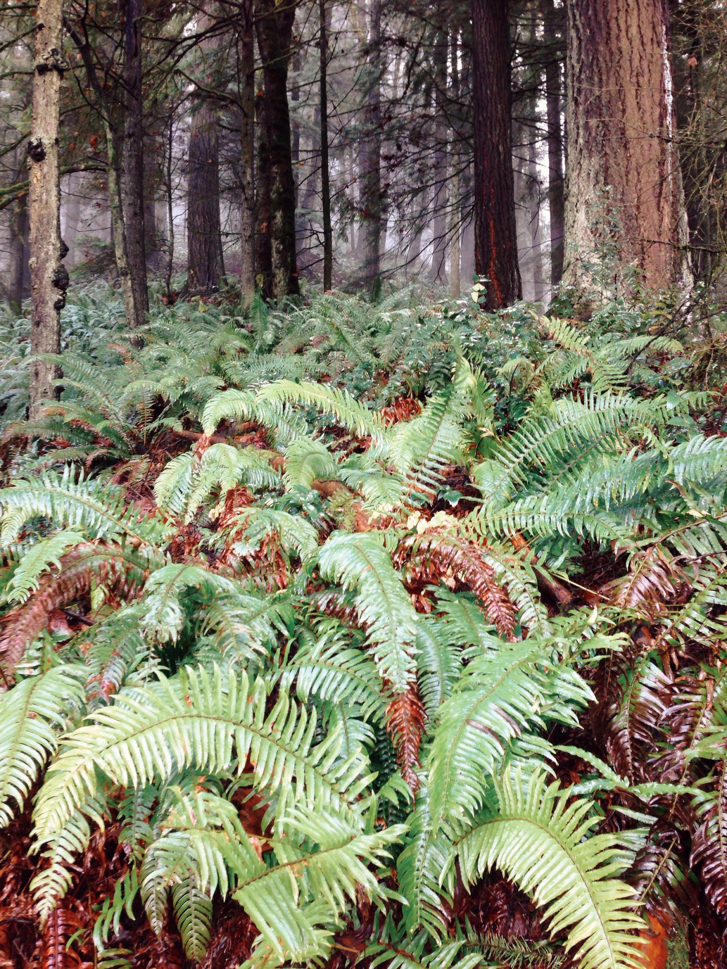 Processed with VSCOcam with kk1 preset