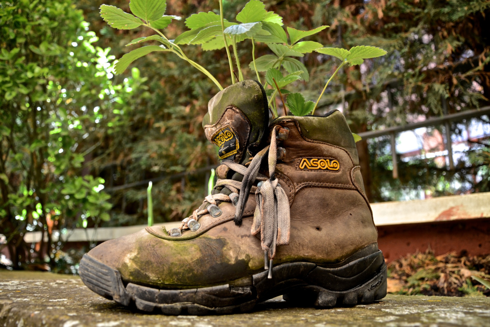 The Perpetual Vagabond is&nbsp;Back!