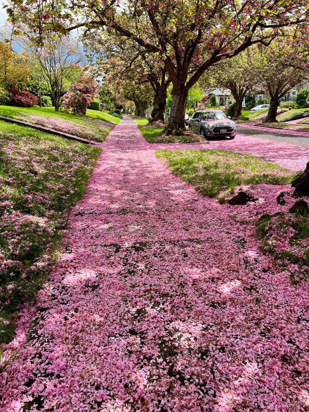 A Long Saturday Walk Across&nbsp;Portland