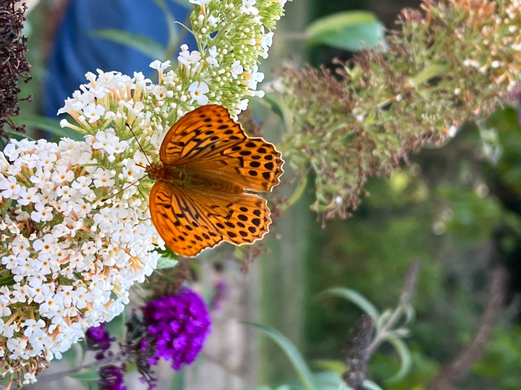 Day 16: Figeac to Espagnac-Saint-Eulalie