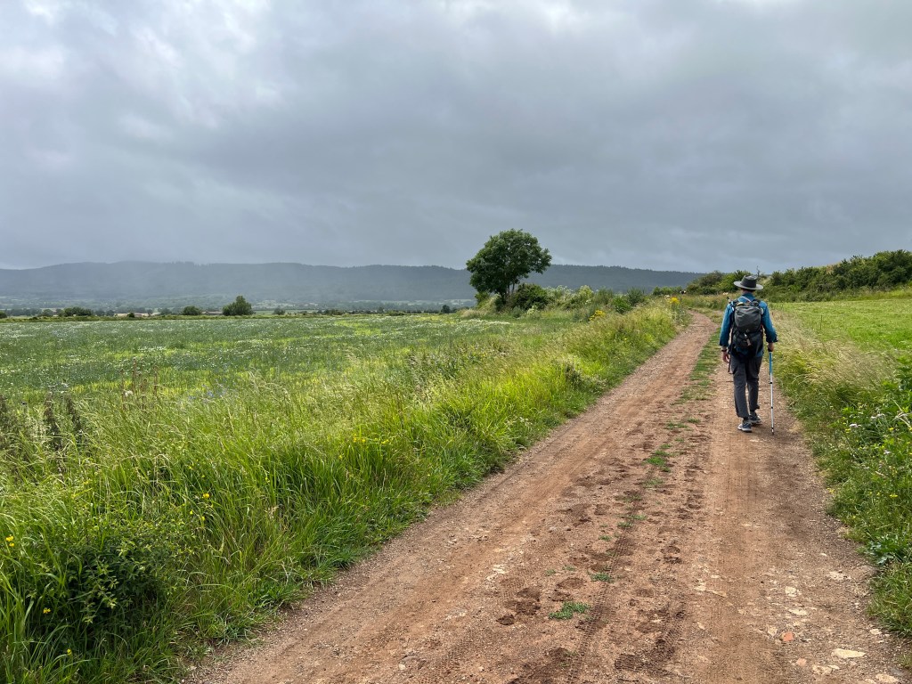 Day 1: Le Puy to&nbsp;Montbonnet