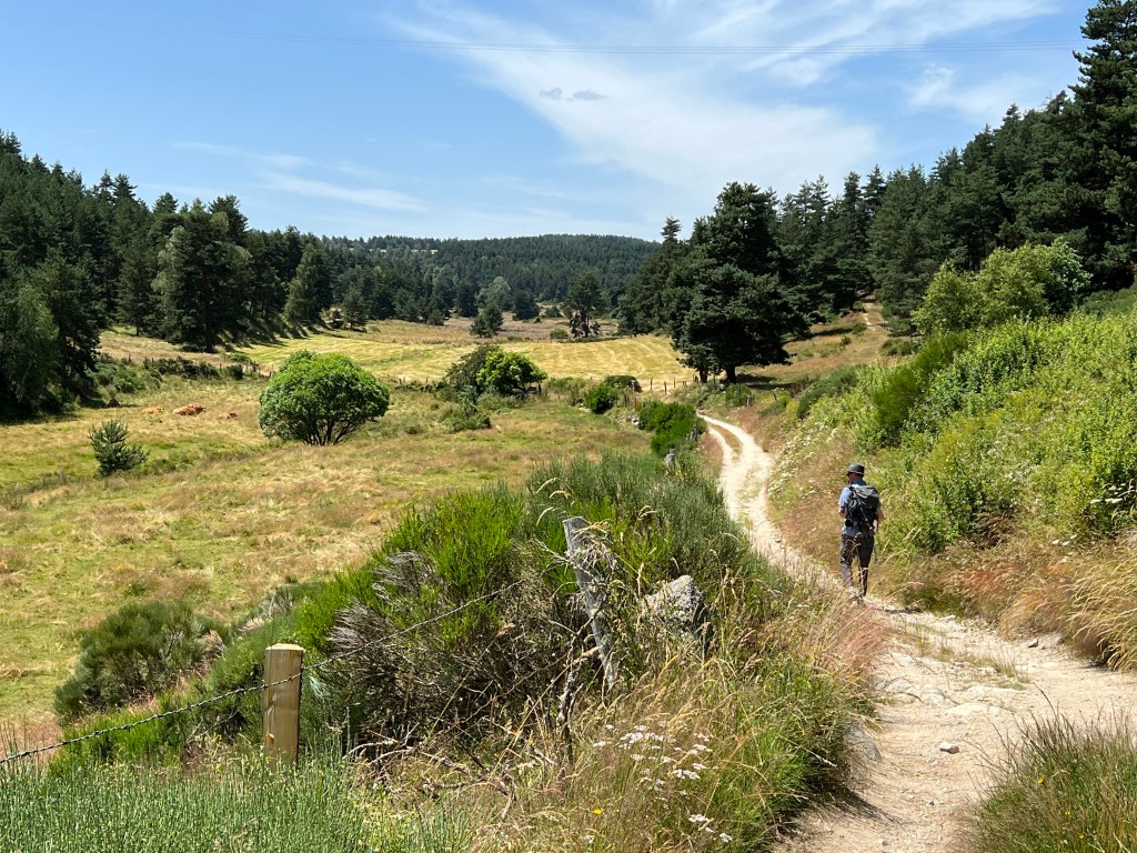 Day 6: Saint-Alban-sur-Limagnole to&nbsp;Aumont-Aubrac