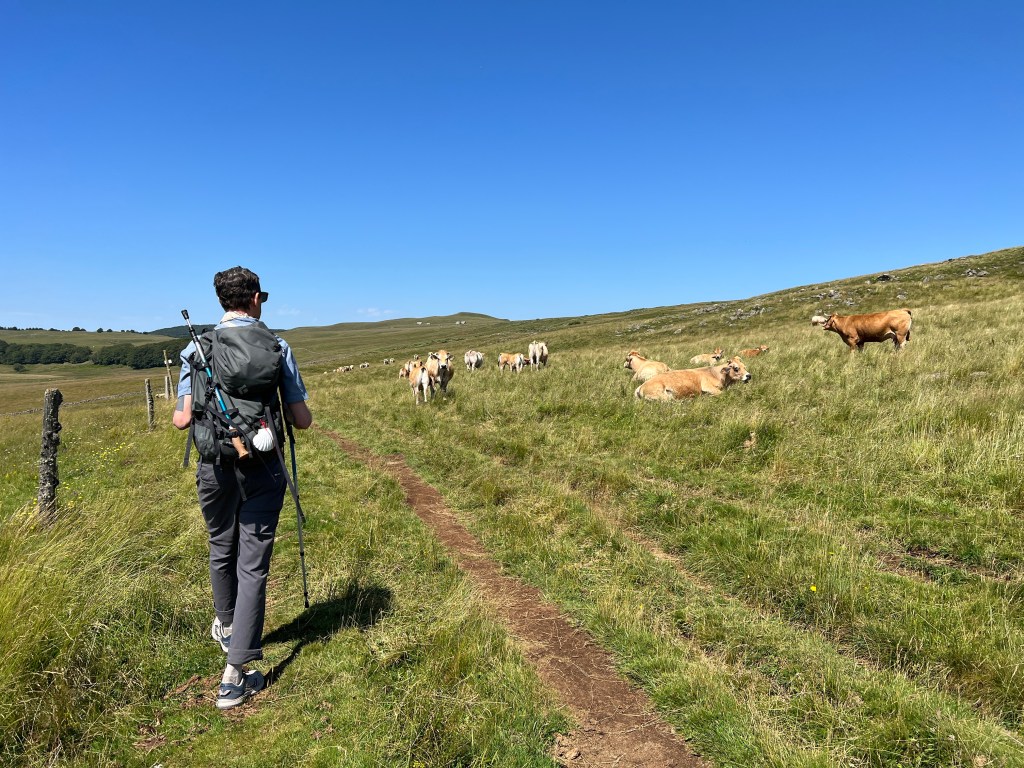 Day 8: Montgros to Saint-Chély-d’Aubrac